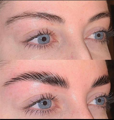 Brow lamination and tint near me. Things To Know About Brow lamination and tint near me. 